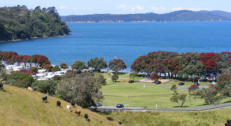 Martins Bay Holiday Park - View of the holiday park with the bay in the background.
