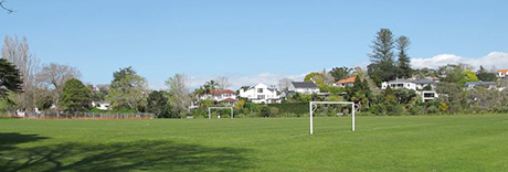 Martyn Wilson Fields and Sonia Reserve