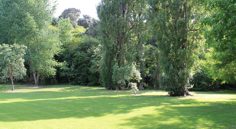 Mckenzie Avenue Park - Trees lining the edge of the park. Photo credit: M Loubser.
