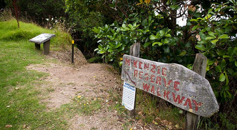 McKenzie Reserve - Sign pointing to the McKenzie Reserve walkway.