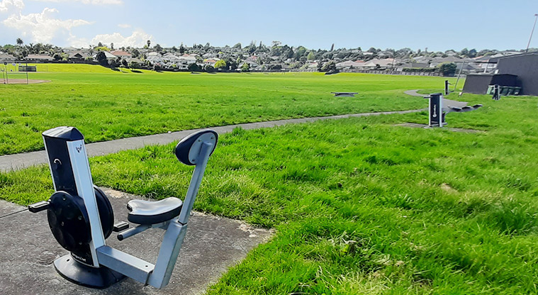 Meadowlland Park - One of the pieces of fitness equipment with the sports fields in the background.