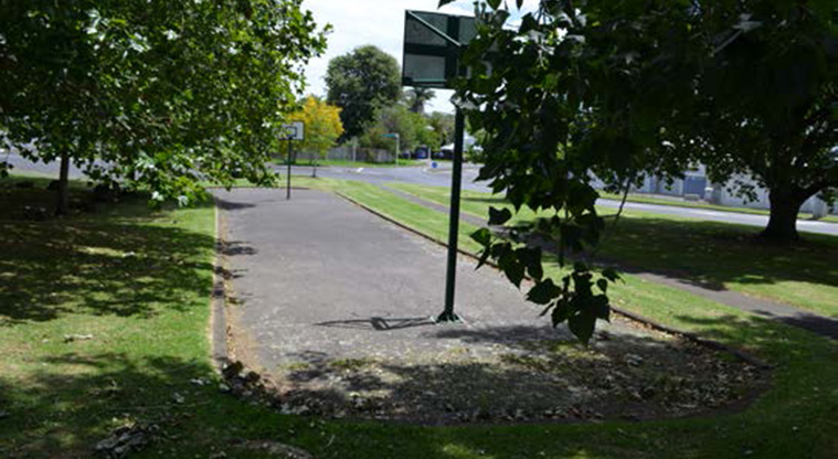 Melrose Reserve - Basketball court surrounded by large trees.