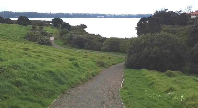 Meola Reef Reserve - A typical section of gravel path within the reserve with views of the Waitematā Harbour in the background.