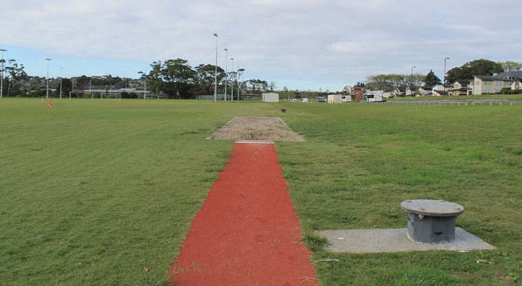Metro Park East - Sand pit for long jump. Photo credit: M Loubser.
