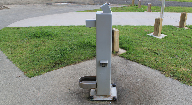 Metro Park East - Drinking fountain for humans and dogs. Photo credit: M Loubser.