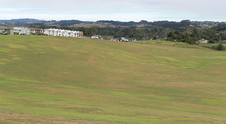 Kawerau / Metro Park West - Large open green space with residential housing in the background. Photo credit: M Loubser.