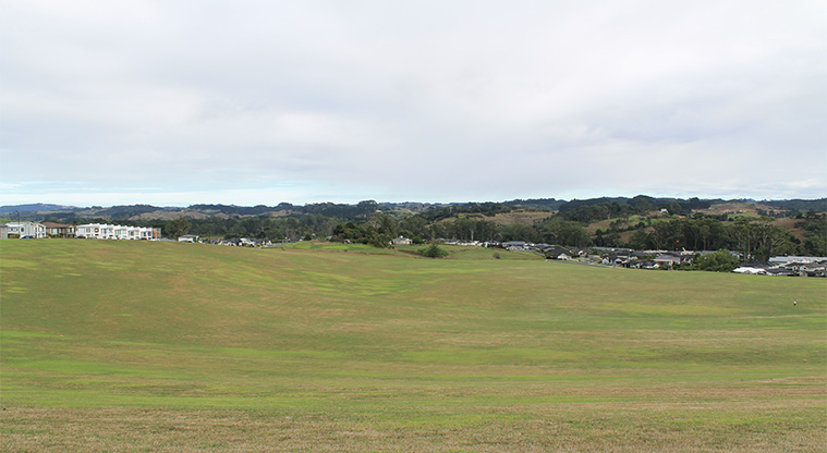 Kawerau / Metro Park West - Large open green space with residential housing in the background. Photo credit: M Loubser.