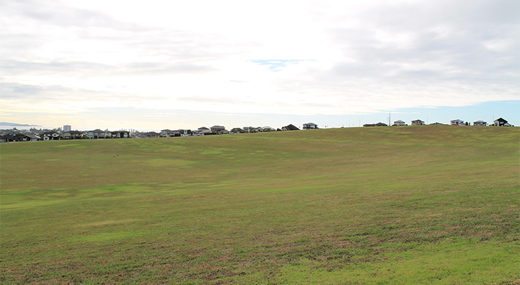 Kawerau / Metro Park West - Large open green space with residential housing in the background. Photo credit: M Loubser.
