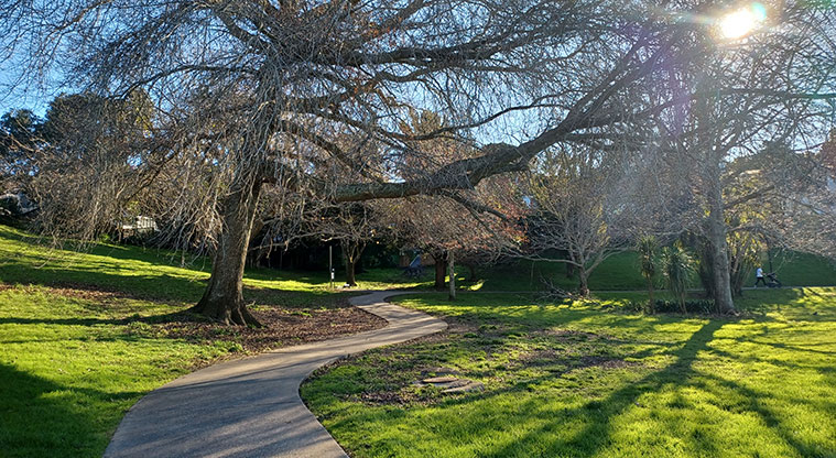 Michaels Avenue Reserve - Section of path through the trees.