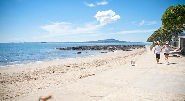 Milford Beach Front Reserve - A section of Milford Beach with Rangitoto Island in the background.