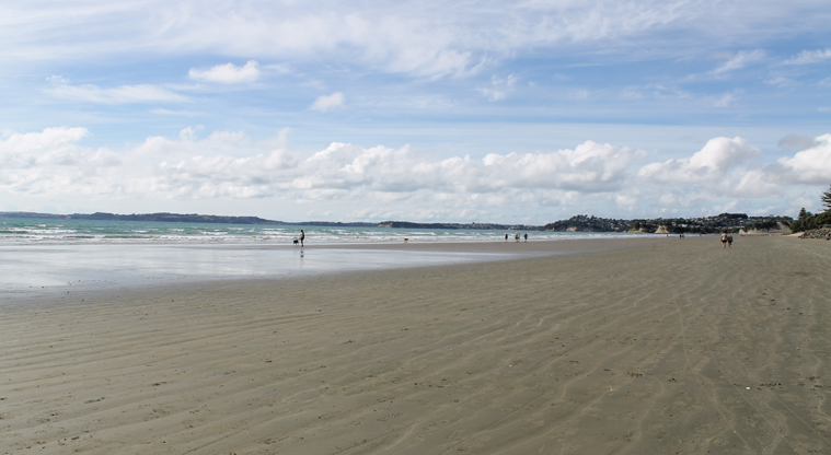 Moana Reserve - Ōrewa Beach. Photo credit: M Loubser.