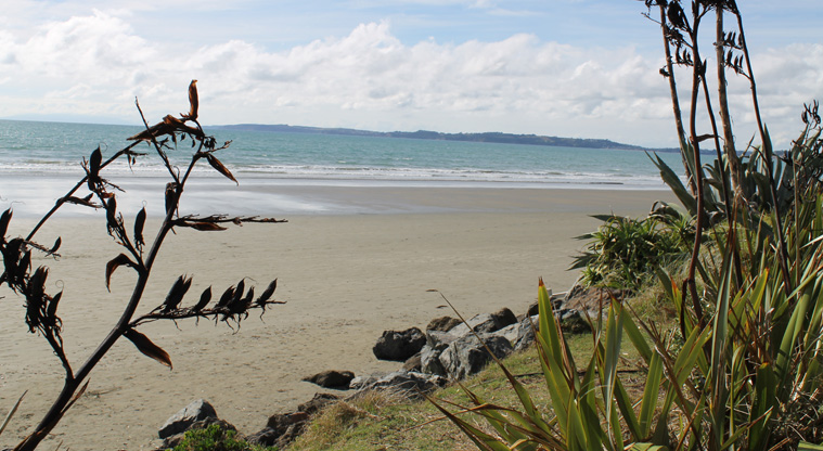 Moana Reserve - View of Ōrewa Beach. Photo credit: M Loubser.