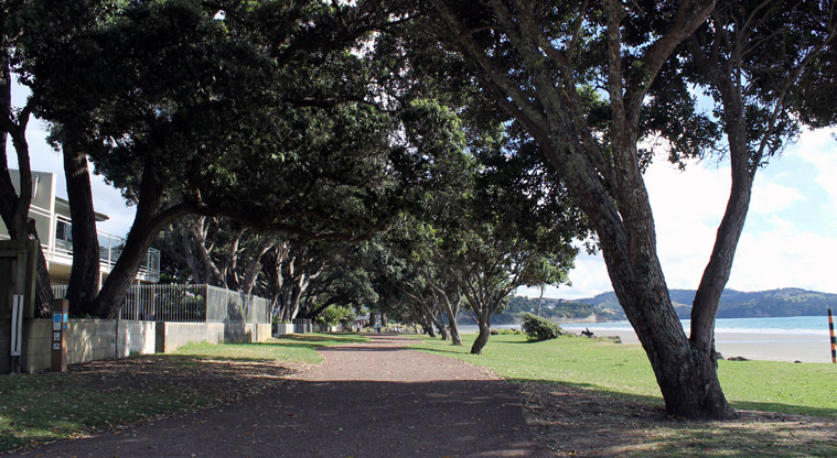 Moana Reserve - Walkway alongside the beach. Photo credit: M Loubser.