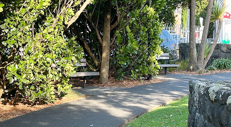 Morningside Reserve - Section of the path with seats under the trees. Photo credit: S Hulse.