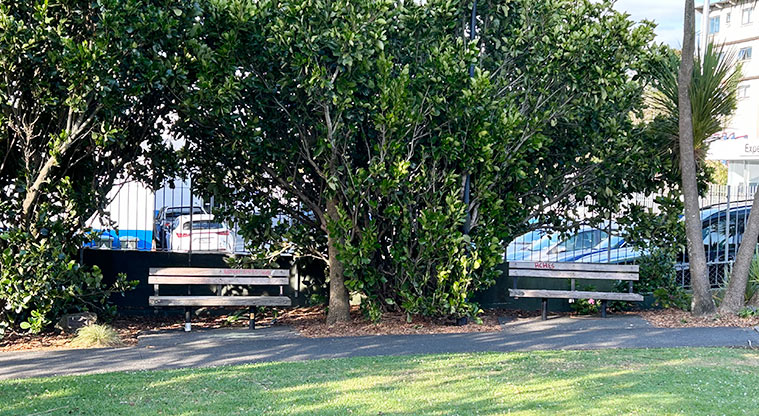 Morningside Reserve - Two seats under the trees with a section of path and grass in the foreground. Photo credit: S Hulse.