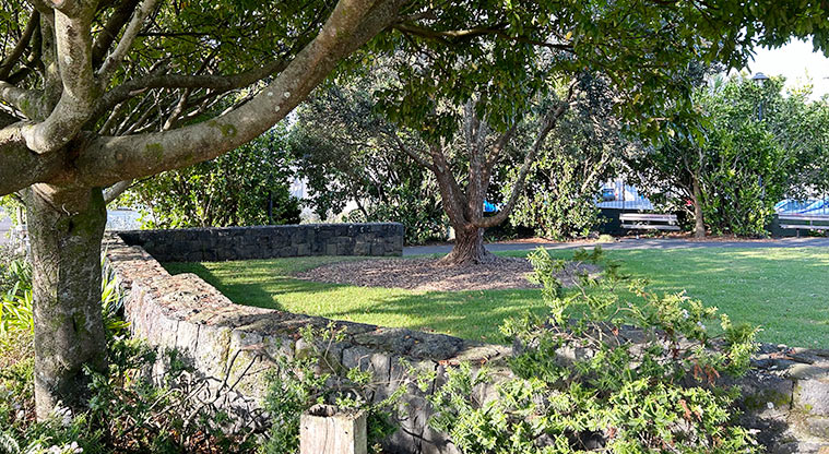 Morningside Reserve - Section of the stone wall with the reserve in the background. Photo credit: S Hulse.