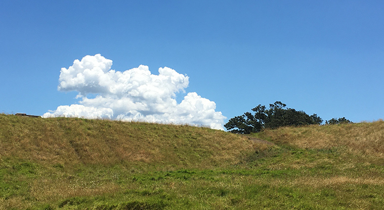 Ōhinerau / Mount Hobson - Section of the hillside with a large cloud formation at the top.