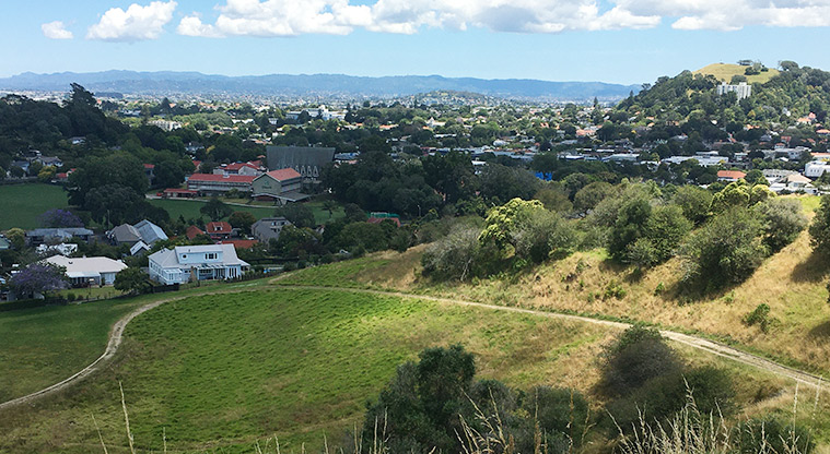 Ōhinerau / Mount Hobson - Looking down one side of the maunga at tracks winding around the bottom.