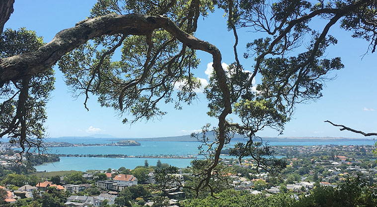 Ōhinerau / Mount Hobson - View from the top of the maunga looking out to Rangitoto Island.