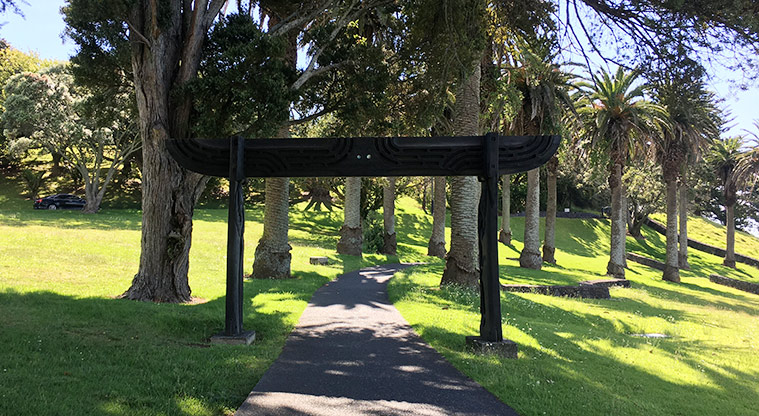 Pukewīwī / Puketāpapa / Mount Roskill - Section of path through a stand of nikau palm. Photo credit: S Hulse.