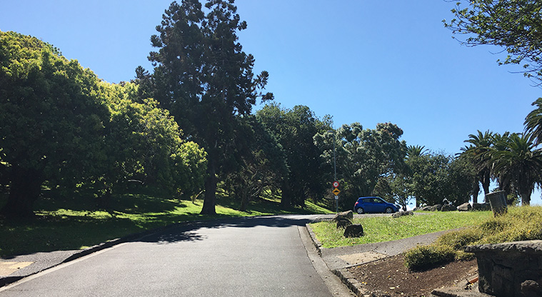 Pukewīwī / Puketāpapa / Mount Roskill - First section of the road leading up the maunga from the entrance. Photo credit: S Hulse.