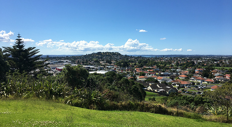 Pukewīwī / Puketāpapa / Mount Roskill - View from the top of the maunga.