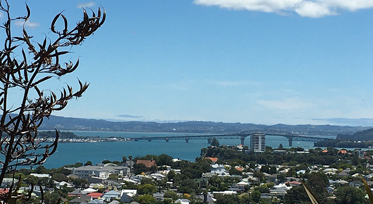 Takarunga / Mount Victoria - Looking from the summit over to the Auckland Harbour Bridge. Photo credit: S Hulse