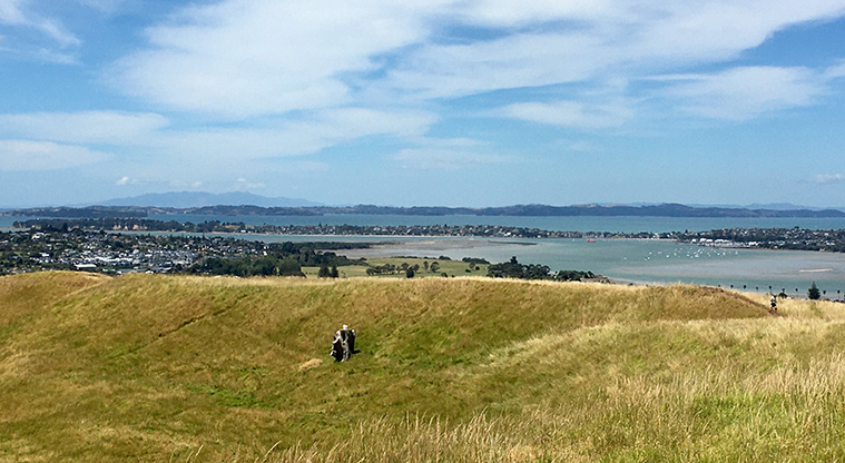 Maungarei / Mount Wellington Domain - View looking west from the tihi (summit).