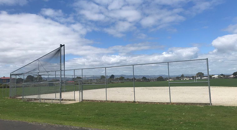 Mountfort Park - Crickets nets.