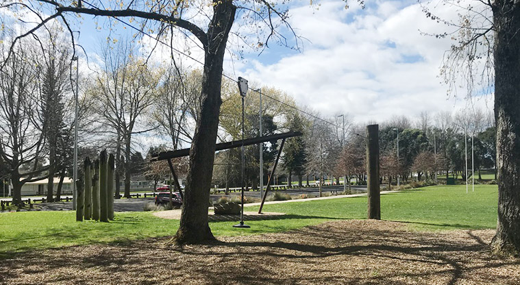 Mountfort Park - Flying fox.