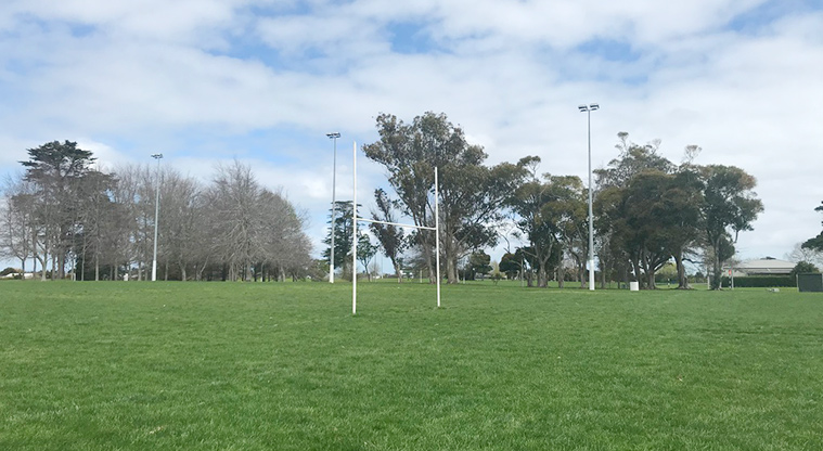 Mountfort Park - Sports fields with goal posts and flood lights.