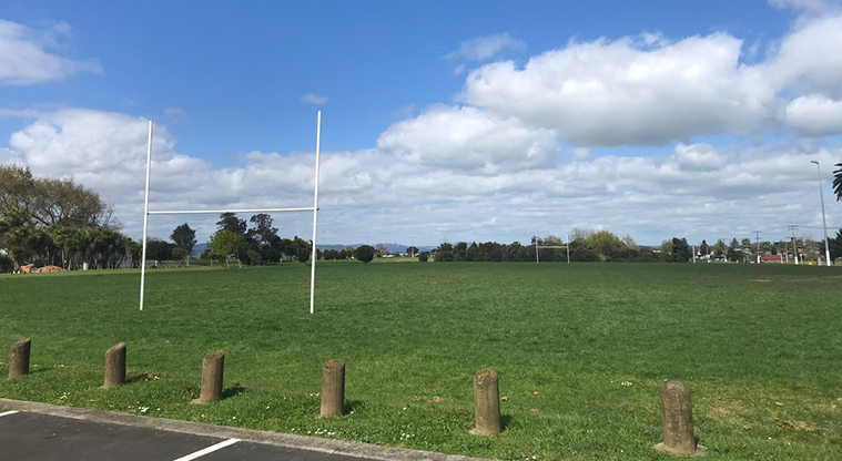 Mountfort Park - Sports fields with goal posts and flood lights.