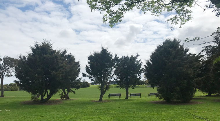 Mountfort Park - Seats and trees with the sports fields in the background.