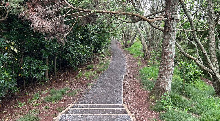 Ōwairaka / Te Ahi-kā-a-Rakataura / Mt Albert - One of the sections of path and steps around the maunga. Photo credit: S Hulse.