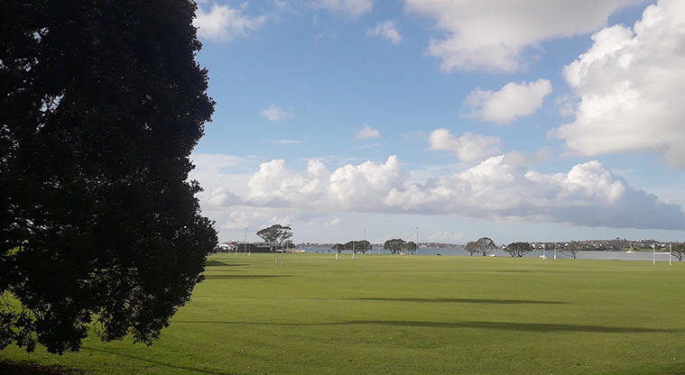 Mt Wellington War Memorial Reserve - Sports field and foot path with trees in the background.