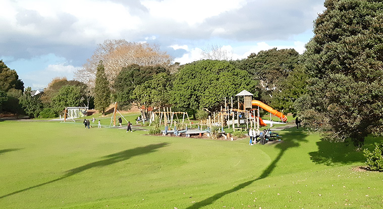 Mt Wellington War Memorial Reserve - The whole playground with a section of the sports field in the foreground.