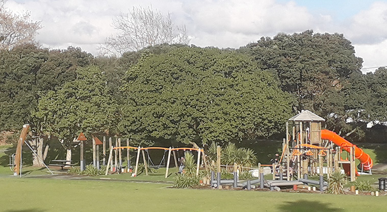 Mt Wellington War Memorial Reserve - Whole playground with climbing equipment, tower, slides, logs, flying fox, swings and more.
