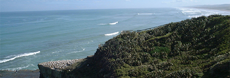 Muriwai Regional Park