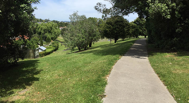 Murry Halberg Park – One of the accessible paths through the park.