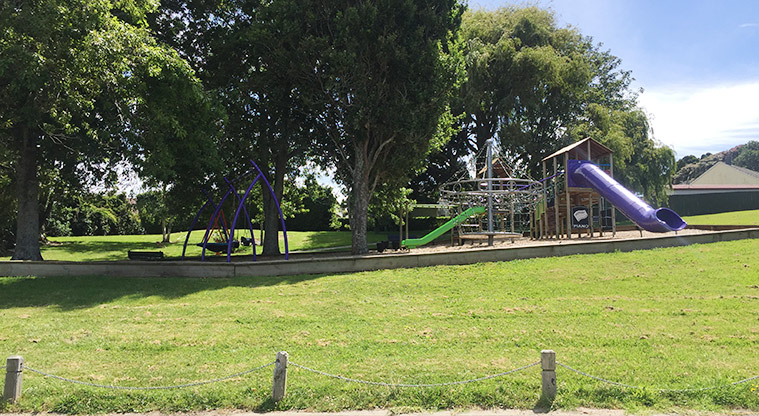 Murray Halberg Park - Open space with the playground in the background.