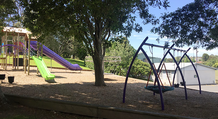 Murray Halberg Park - Playground and swings under the trees.