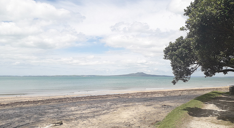 Murrays Bay Beach Reserve - Looking out towards Rangitoto Island.