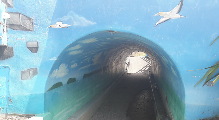 Murrays Bay Beach Reserve - Tunnel that goes under Beach Road with a mural of seagulls and sea view.