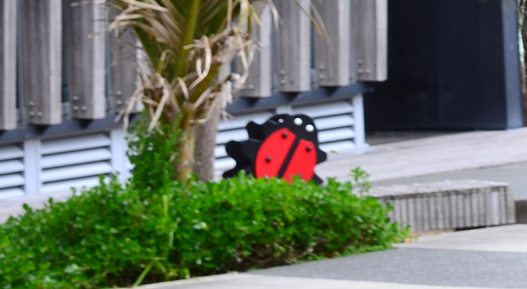 Nell Fisher Reserve - . Photo credit: Aleksandar Ćirilović.