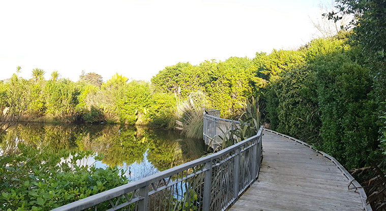 Newmarket Park - Boardwalk around a section of the lake.