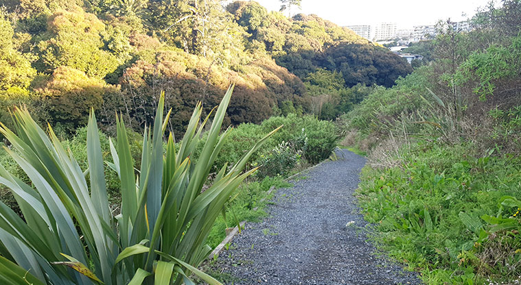 Newmarket Park - Gravel path with bush on both sides.