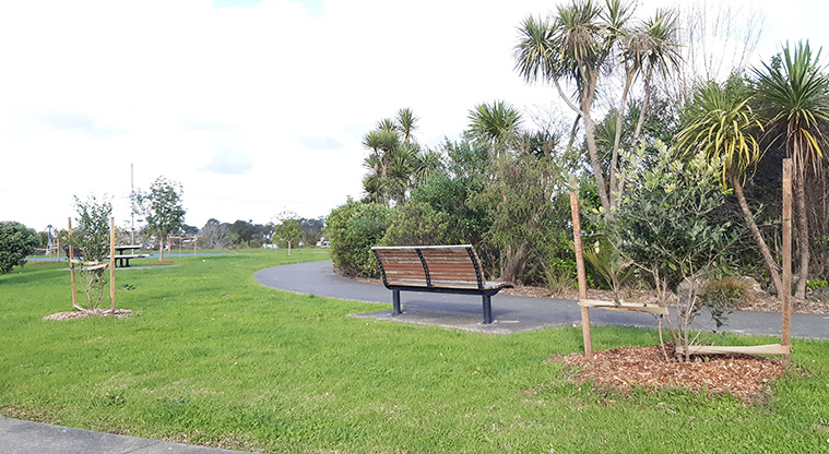 Newmarket Park - Section of the path in the middle of the park with seating on the edge.