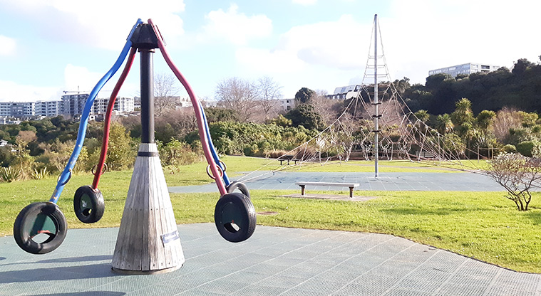 Newmarket Park - Roctopus and climbing net.