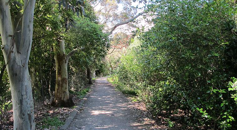 Ngataringa Park - Section of path through the park.