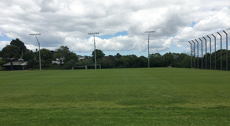 Nixon Park - Sports fields with flood lights along the side. Photo credit: S Hulse.